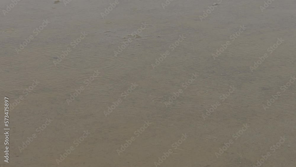 Slow motion of water drops falling in a puddle and ripples emerging on a rainy day Slow motion of water drops falling in a puddle and ripples emerging on a rainy day