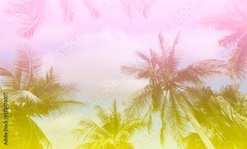 The holiday of Summer with colorful theme as palm trees background as texture frame background © SASITHORN