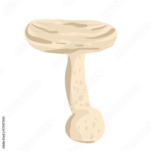 mushrooms in the hand drawing style. Psychedelic abstract mushrooms, hippie style. Vector illustration isolated on a white background.