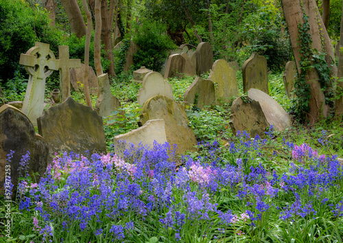 Bluebells in the foreground of an ancient graveyard