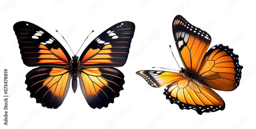 Obraz premium Set of very beautiful yellow orange butterflies with color transitions isolated on a transparent background. 