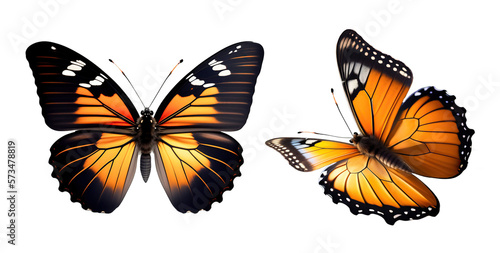 Set of very beautiful yellow orange butterflies with color transitions isolated on a transparent background. 