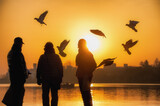 茨城県水戸市　野鳥飛び交う千波湖の冬の朝