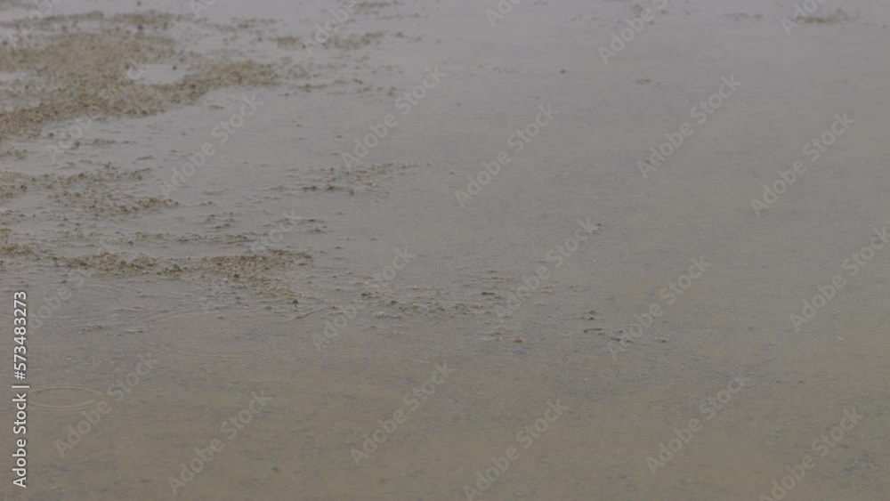 Slow motion of water drops falling in a puddle and ripples emerging on a rainy day Slow motion of water drops falling in a puddle and ripples emerging on a rainy day