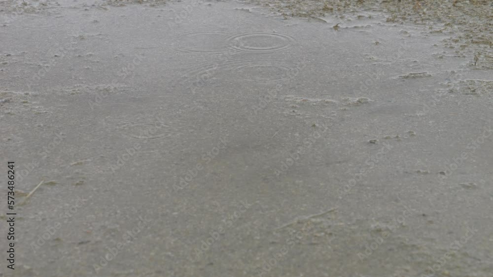 Slow motion of water drops falling in a puddle and ripples emerging on a rainy day Slow motion of water drops falling in a puddle and ripples emerging on a rainy day