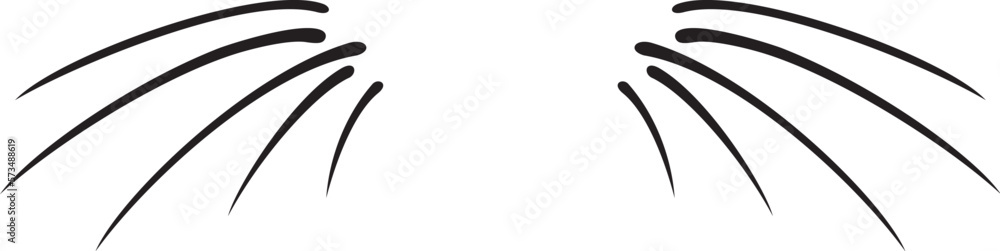 Cat moustache. Vector illustration. Cat moustache. Vector illustration.