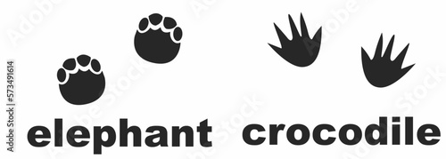 Canvas Print elepant and crocodile footprints isolated on white baground