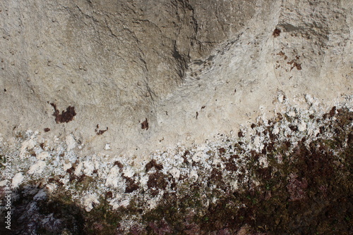 A fragment of rocks on the coast of the Mediterranean Sea. The stone texture with a seaweed on stone.