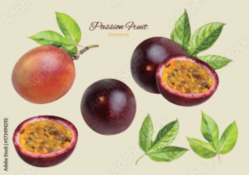 Realistic passion fruit element set