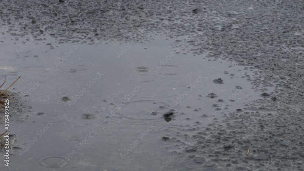 Slow motion of water drops falling in a puddle and ripples emerging on a rainy day Slow motion of water drops falling in a puddle and ripples emerging on a rainy day