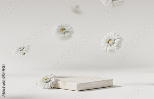 Fototapeta Naklejka Na Ścianę i Meble -  3D background, wood podium display. White daisy flower falling. Cosmetic or beauty product promotion step, pedestal with green grass. Abstract spring backdrop. 3D render copy space mockup.