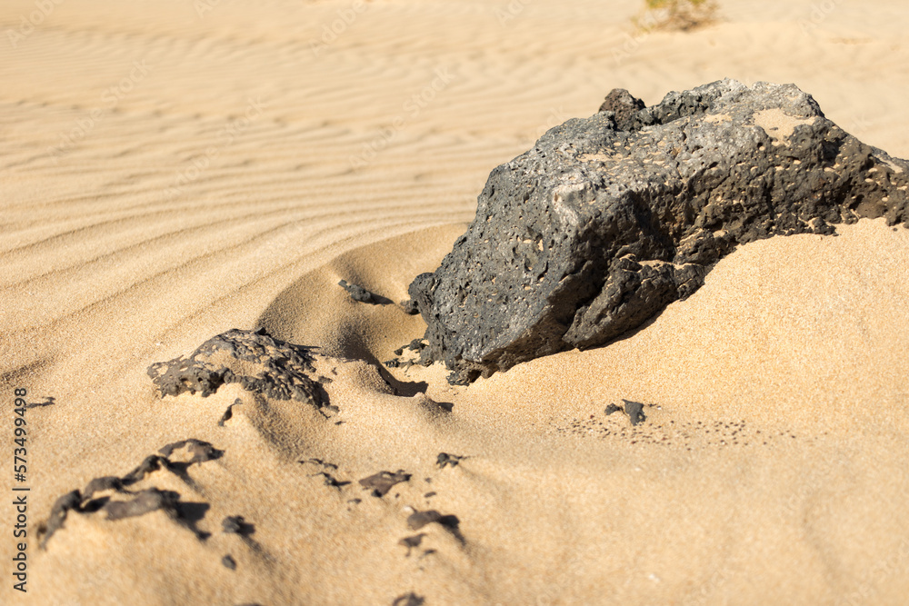 Beautiful desert landscape of a white sand beach, with desert plants and a volcanic rock. Fuerteventura, Canary Islands, Spain Beautiful desert landscape of a white sand beach, with desert plants and a volcanic rock. Fuerteventura, Canary Islands, Spain