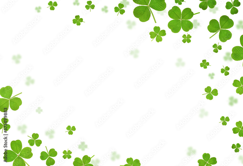 clover leaves are scattered in the form of a frame on a white isolated background clover leaves are scattered in the form of a frame on a white isolated background