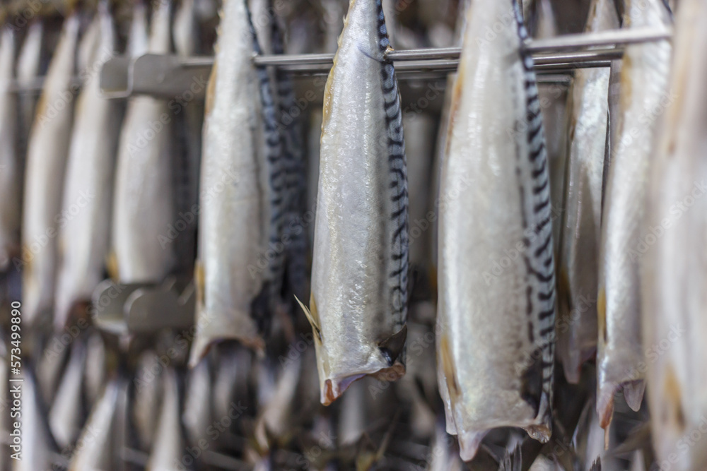 Obraz premium Closeup view of fresh mackerel ready for the process of smoking in the oven.