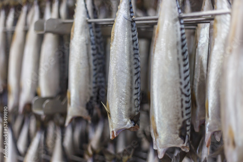 Closeup view of fresh mackerel ready for the process of smoking in the oven.