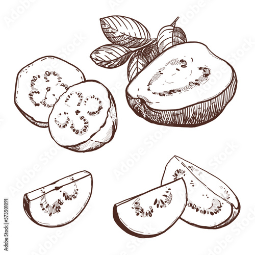 A hand-drawn black and white drawing of a guava fruit, a piece. Vector illustration in graphic style. Elements for labels, postcards, stickers, menus, packaging. The effect of engraving.