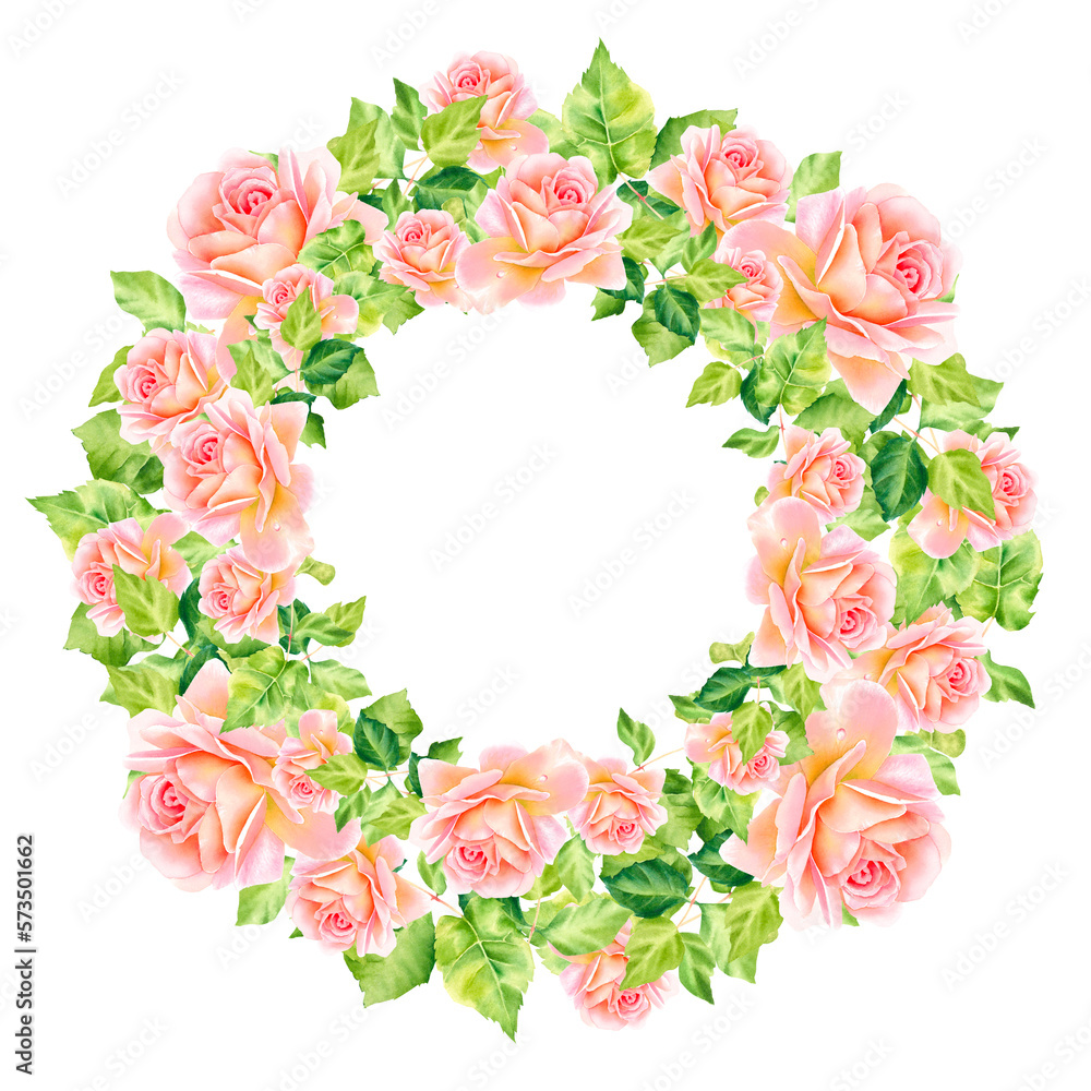 A wreath of pink roses. Watercolor illustration. Delicate roses. Rose garden. Botanical illustration.