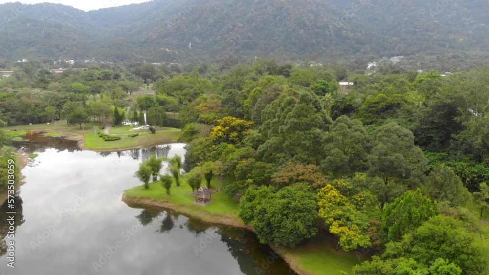 Drone view of lake and tropical greenery on a clear day Drone view of lake and tropical greenery on a clear day