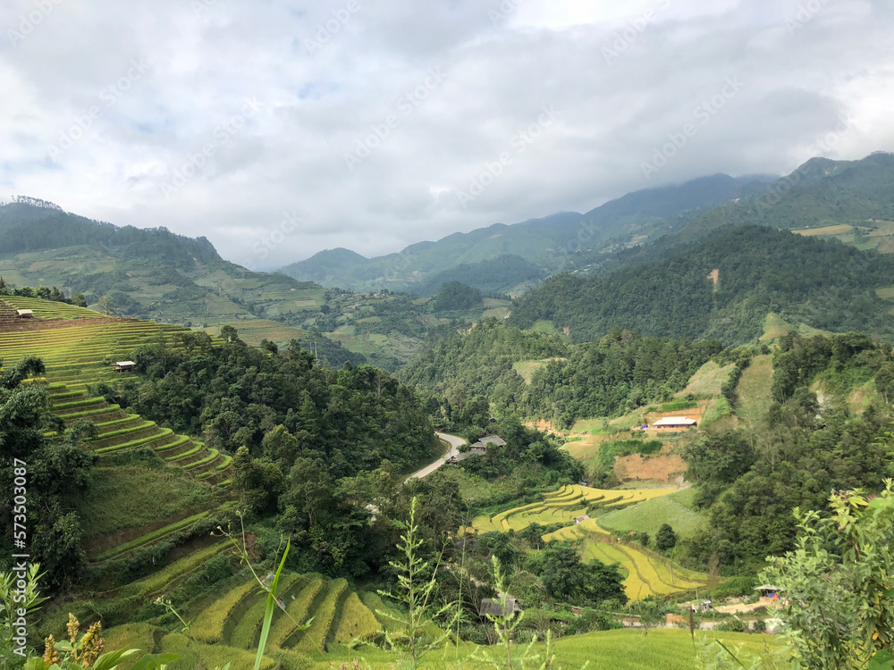 terrace , rice field in northern Vietnam is beautiful landscape
