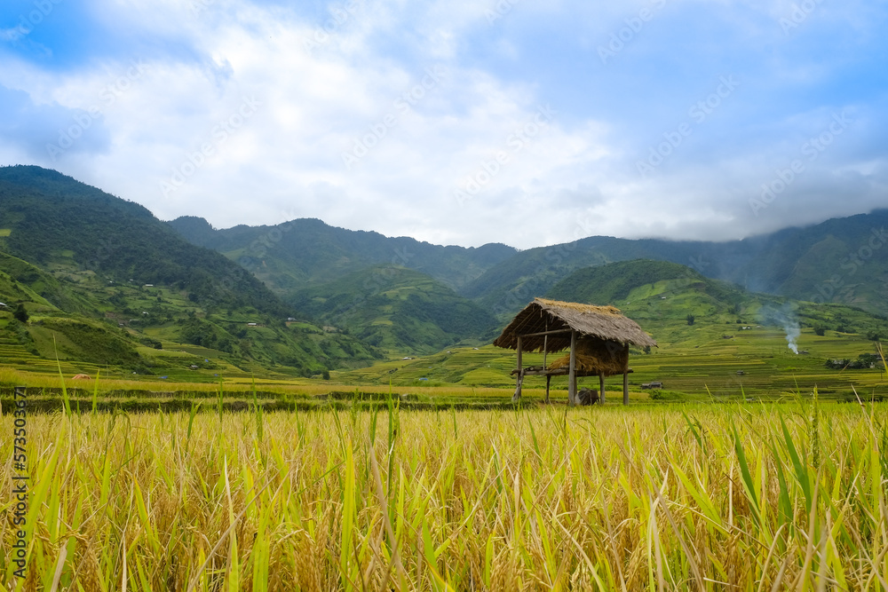 Fototapeta premium In agriculture, a terrace is a piece of sloped plane: northern of Vietnam