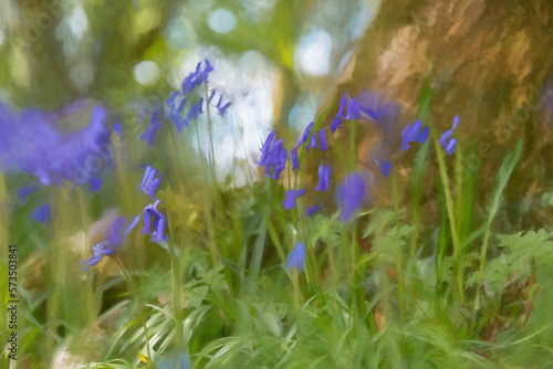 Digital painting of brightly colored sunlit purple bluebell flowers against a natural background. © Rob Thorley