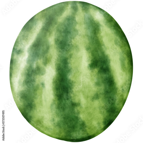 Watercolor Watermelon illustration  watermelon illustration  watercolor illustration