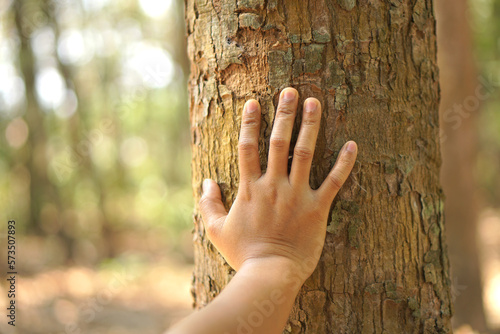 concept of saving the world Asian woman touching a tree