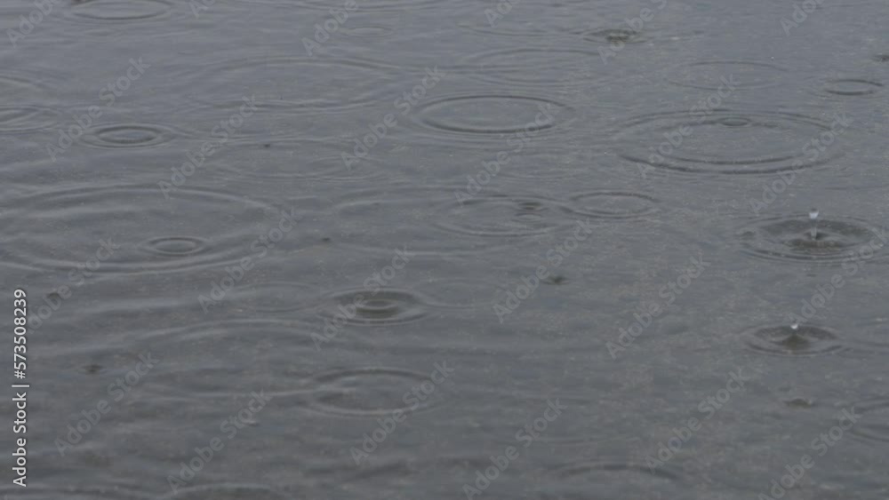 Slow motion of water drops falling in a puddle and ripples emerging on a rainy day Slow motion of water drops falling in a puddle and ripples emerging on a rainy day