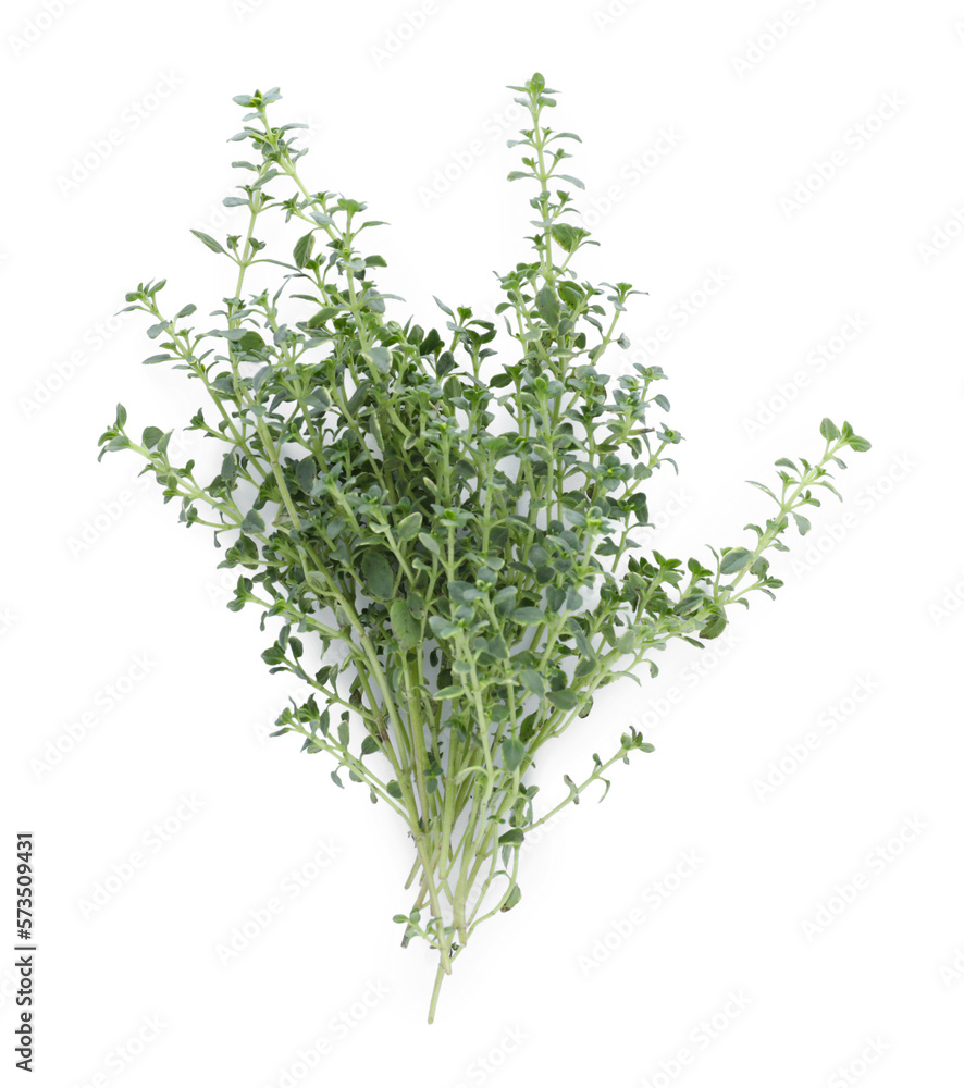 Bunch of aromatic thyme isolated on white, top view. Fresh herb Bunch of aromatic thyme isolated on white, top view. Fresh herb