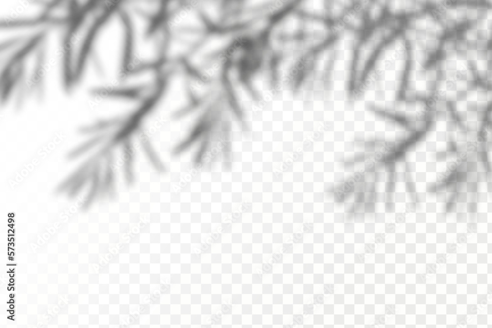 Obraz premium Realistic shadow tropical leaves and branches on transparent checkered background. The effect of overlaying shadows. Natural light layout.