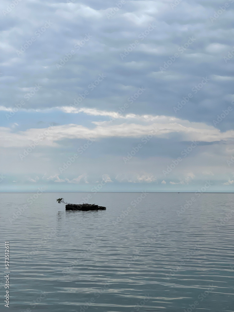 A small island on Lake Baikal with a lonely lopsided tree