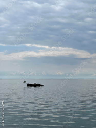 A small island on Lake Baikal with a lonely lopsided tree © tasha