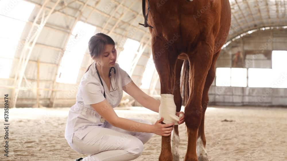 Bandaging wounds on the leg. Female doctor in white uniform checking