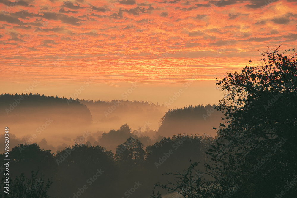 Sunrise over a misty forest. Dawn in fairy forest with dramatic glowing sky Sunrise over a misty forest. Dawn in fairy forest with dramatic glowing sky