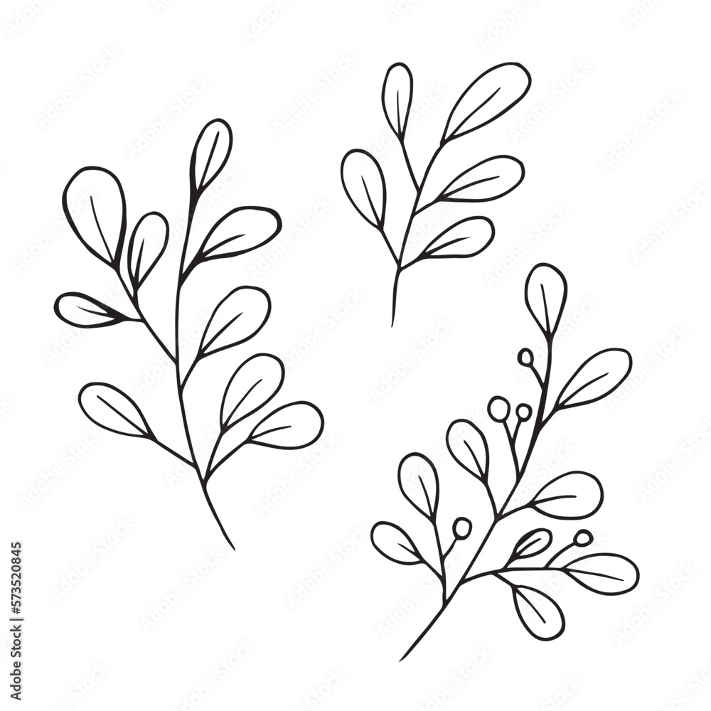 Vector leaves doodle hand drawn illustration. Leaf branch for ornament wreath and art Vector leaves doodle hand drawn illustration. Leaf branch for ornament wreath and art