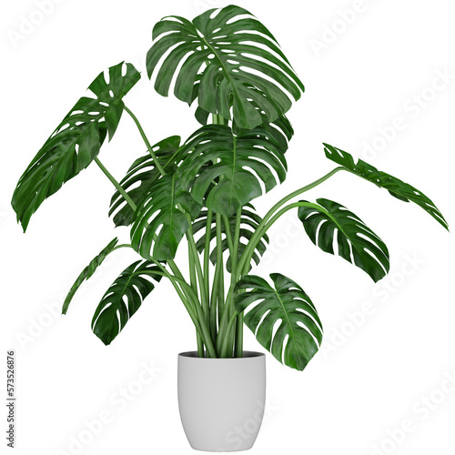 plant in pot  isolated on white  photoreal 3d render