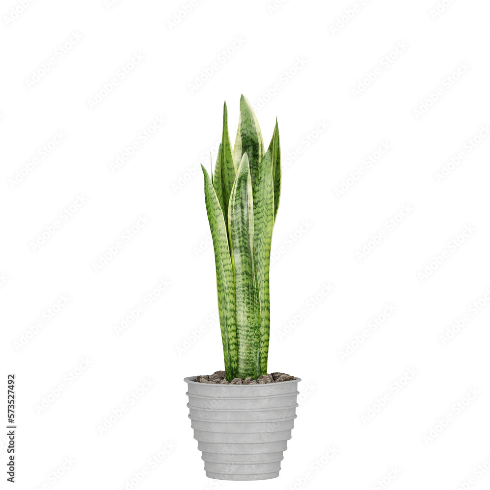 plant in pot, isolated on white, photoreal 3d render plant in pot, isolated on white, photoreal 3d render