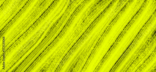 Green leaf texture design background