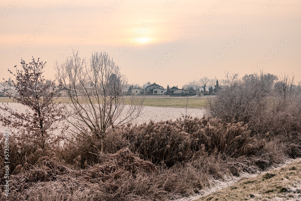 Snowy landscape in front of a settlement in winter with atmospheric sunset Snowy landscape in front of a settlement in winter with atmospheric sunset
