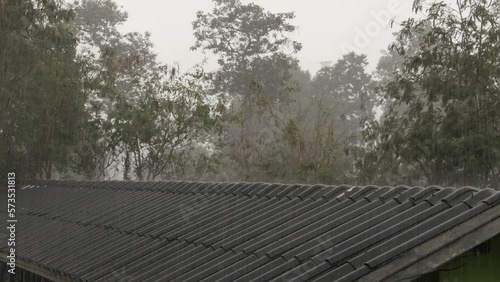 Raining hard from roof tile top view or second floor view with nature tree background