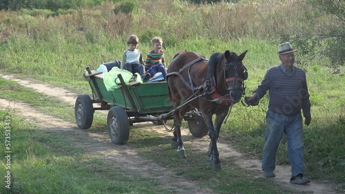 Cheerful little boys in the cart pulled by grandfather's horse