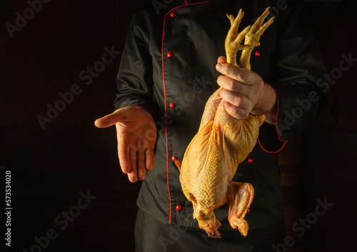 Slika na platnu Raw rooster in the chef hand