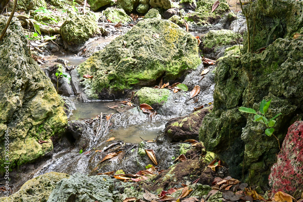 Streams of moving water Streams of moving water