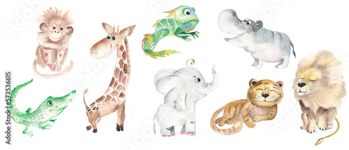 Panel kuchenny z motywem Safari animals for kids. Big set. Cute african animals isolated on white background. Watercolor hand drawn illustration.