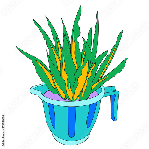 Repurposed tabo/ plastic jug plant pot with aloe vera plant
 photo