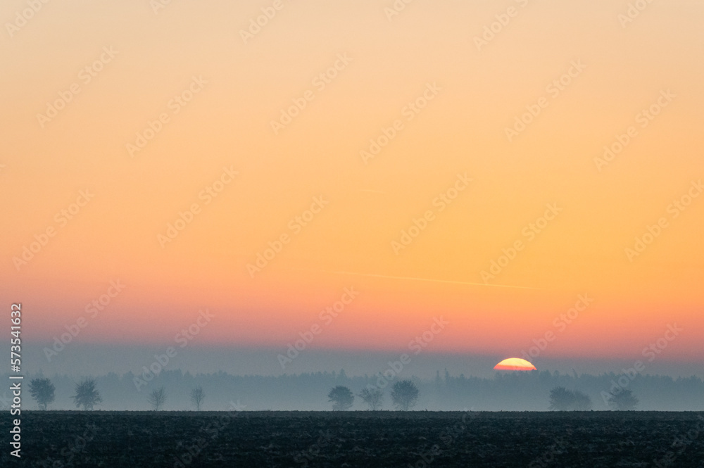 foggy sunrise over a field with leafy trees in a row in the Czech Republic