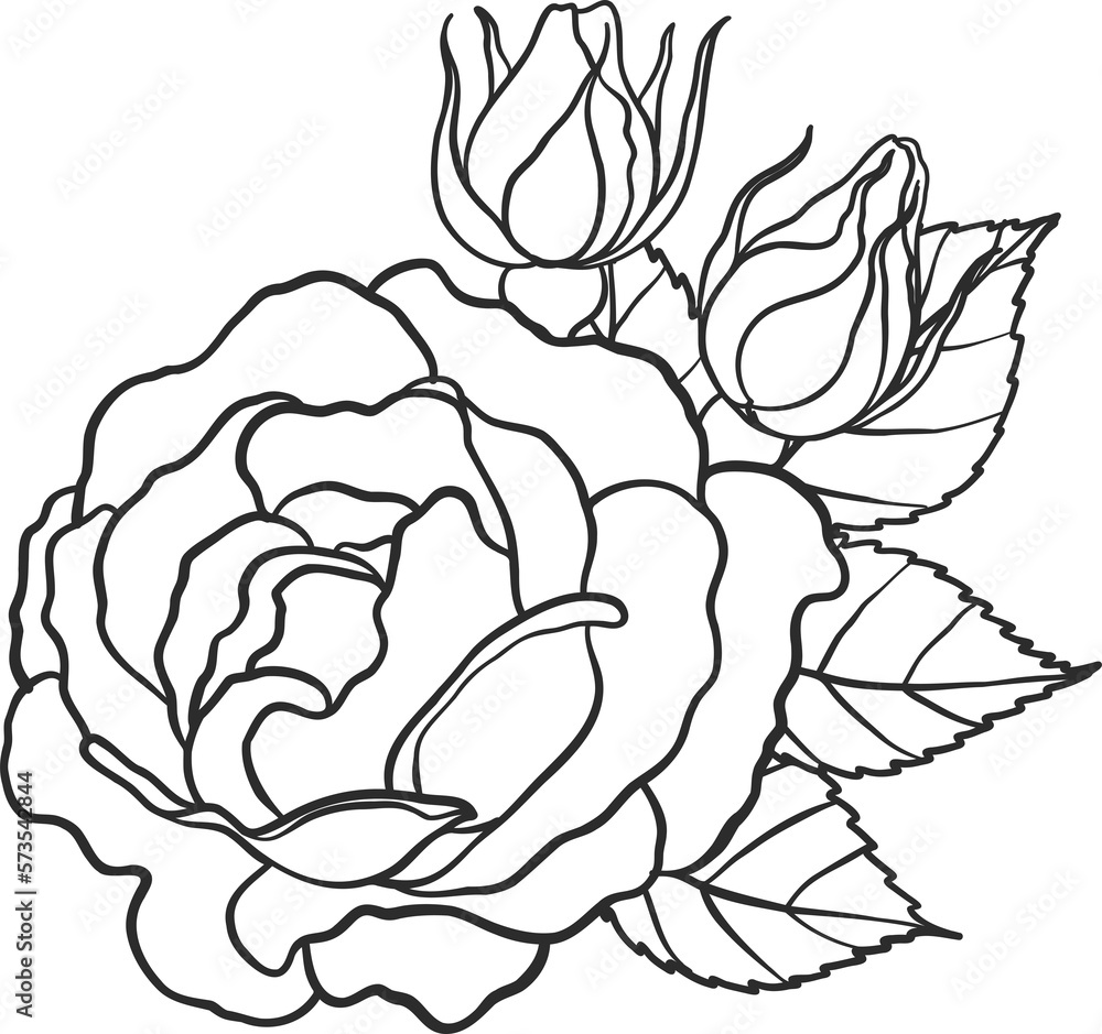 Blaze rose png.Beautiful flower on transparent background. Blaze rose png.Beautiful flower on transparent background.