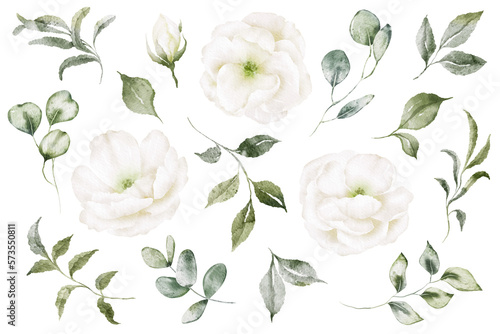 Set watercolor floral elements of peony, rose, collection garden white flowers, green leaves, branches, Botanic illustration isolated on white background for wedding design.
