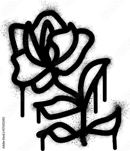 Rose flower graffiti with black spray paint