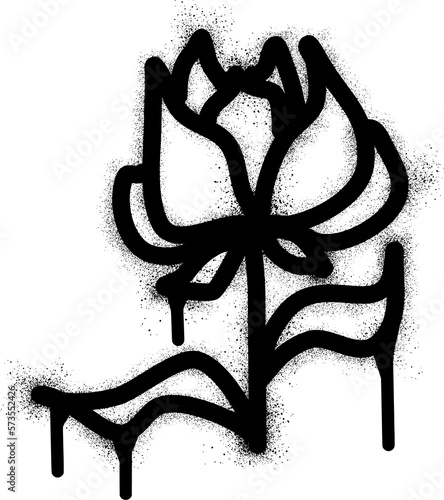 Rose flower graffiti with black spray paint
